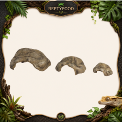 REPTYZOO HIDE CAVE - TANA PER RETTILI