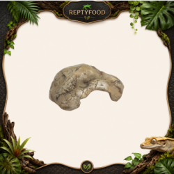 REPTYZOO HIDE CAVE - TANA PER RETTILI