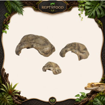 REPTYZOO HIDE CAVE - TANA PER RETTILI