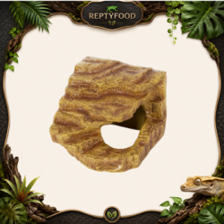 REPTYZOO RIFUGIO ANGOLARE PER RETTILI LARGE