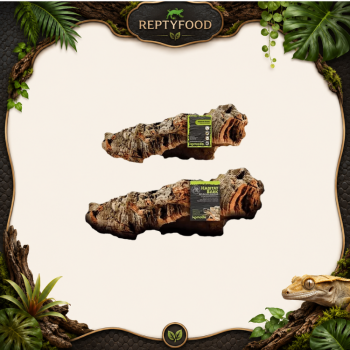 KOMODO CORK BARK - CORTECCIA PER TERRARI