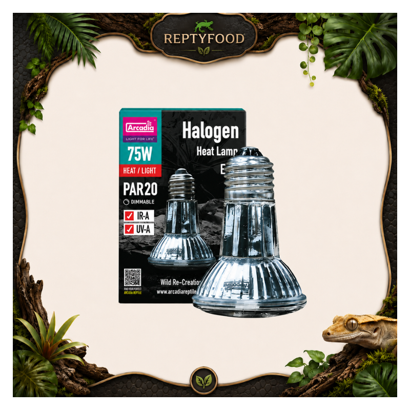 ARCADIA HALOGEN - LAMPADA RISCALDANTE ALOGENA 75W