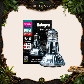 ARCADIA HALOGEN - LAMPADA RISCALDANTE ALOGENA 100W