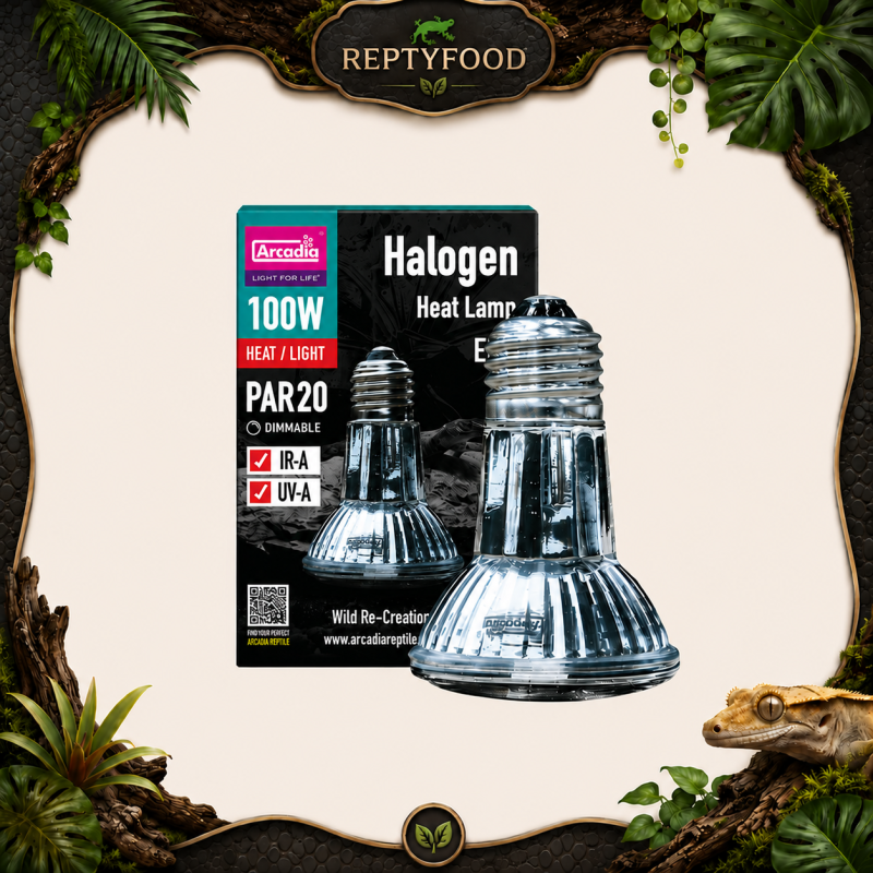 ARCADIA HALOGEN - LAMPADA RISCALDANTE ALOGENA 100W