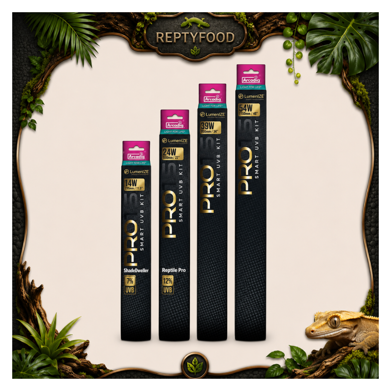 ARCADIA PROT5 LUMENIZE KIT