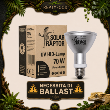 SOLAR RAPTOR HID 70W FLOOD - LAMPADA RISCALDANTE + UVA/UVB