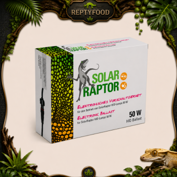 SOLAR RAPTOR BALLAST 50W - ACCENDITORE PER LAMPADE HID