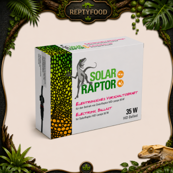 SOLAR RAPTOR BALLAST 35W - ACCENDITORE PER LAMPADE HID