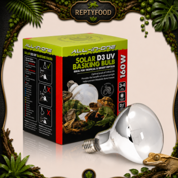 KOMODO SOLAR D3 UV BASKING 160 W - LAMAPDA A VAPORI DI MERCURIO