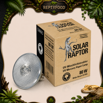 SOLAR RAPTOR VAPORI DI MERCURIO 80W