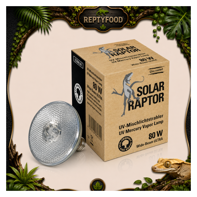 SOLAR RAPTOR VAPORI DI MERCURIO 80W
