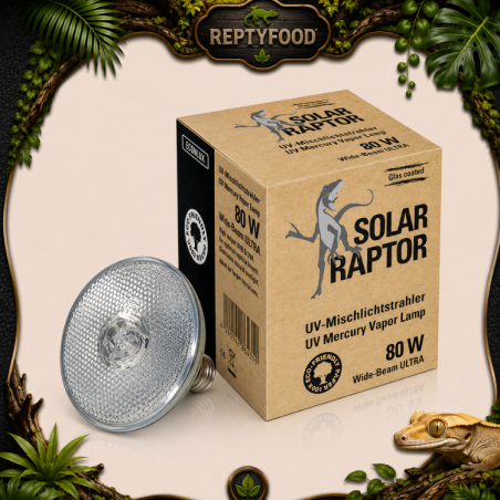 SOLAR RAPTOR VAPORI DI MERCURIO 80W