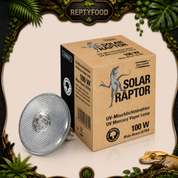 SOLAR RAPTOR VAPORI DI MERCURIO 100W