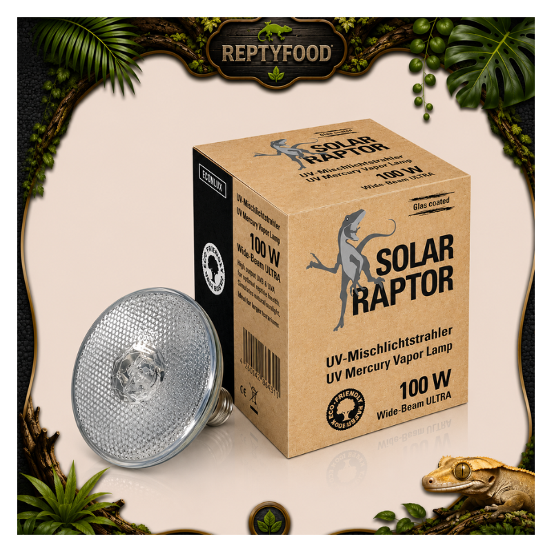 SOLAR RAPTOR VAPORI DI MERCURIO 100W
