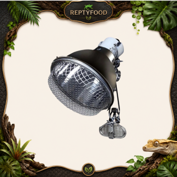 ARCADIA CERAMIC REFLECTOR 20 CM- PORTALAMPADA RIFLETTORE