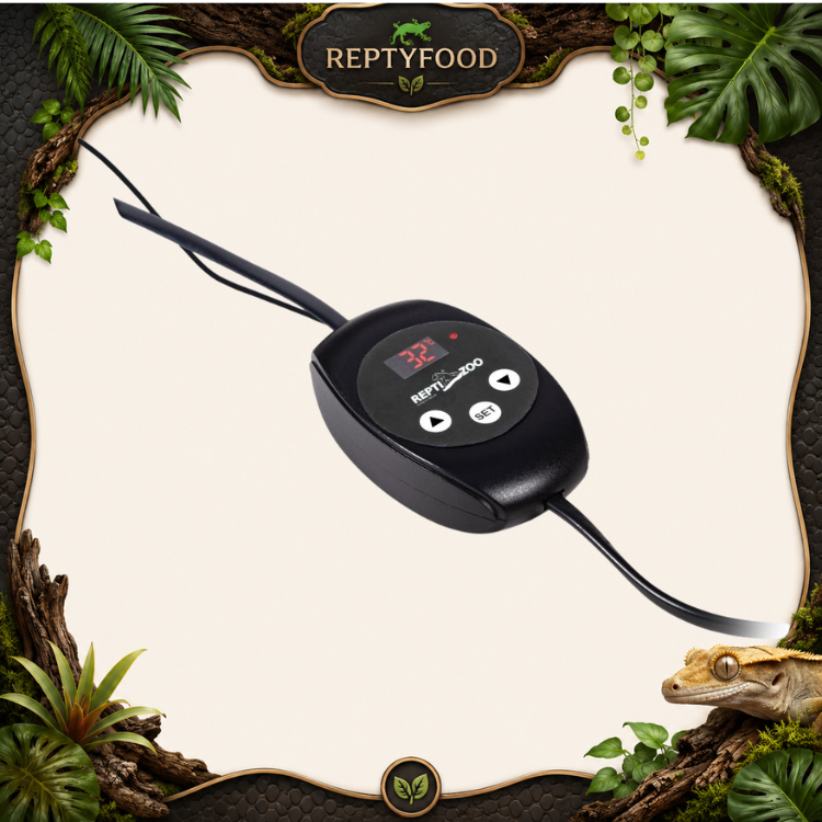 REPTIZOO MINI TERMOSTATO DIGITALE - REGOLATORE DI TEMPERATURA DIGITALE