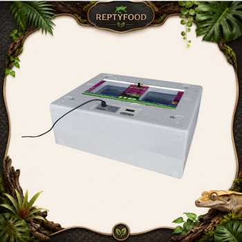 REPTYZOO INCUBATRICE DIGITALE