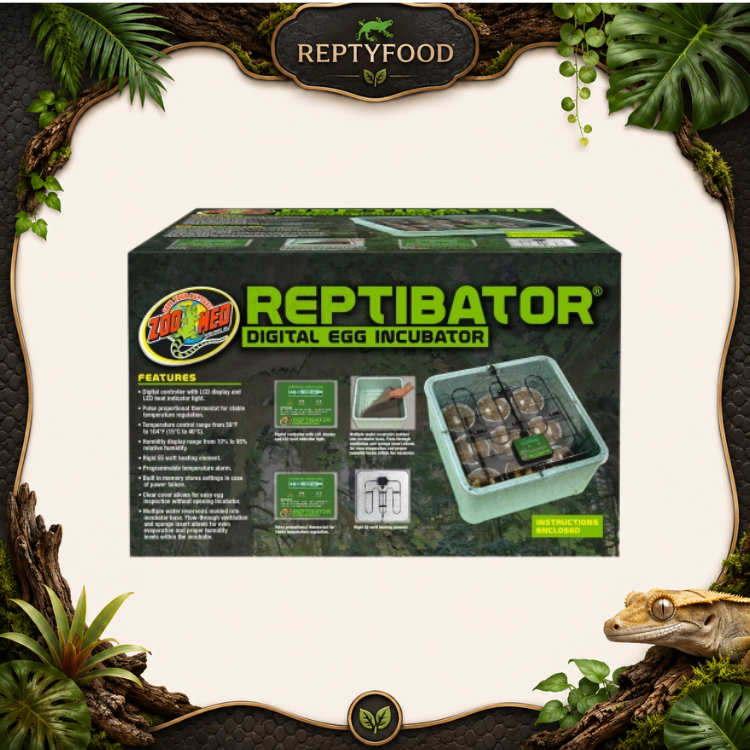 ZOO MED REPTIBATOR EGG - INCUBATRICE PER UOVA DI RETTILI