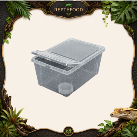 REPTIZOO CONTENITORE IN PLASTICA SMALL