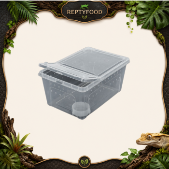 REPTIZOO CONTENITORE IN PLASTICA X-LARGE