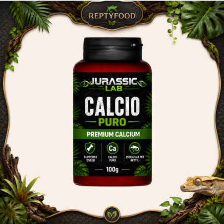 JURASSIC LAB CALCIO PURO PER RETTILI