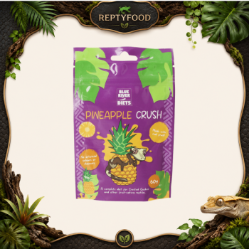 BLUE RIVER DIETS - PINEAPPLE CRUSH - ALIMENTO COMPLETO PER GECHI CRESTATI