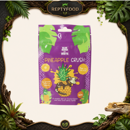 BLUE RIVER DIETS - PINEAPPLE CRUSH - ALIMENTO COMPLETO PER GECHI CRESTATI