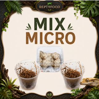 MIX DAY MICRO - DOSE GRILLI,DROSOPHILE HYDEI E MELANOGASTER