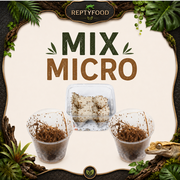 MIX DAY MICRO - DOSE GRILLI,DROSOPHILE HYDEI E MELANOGASTER