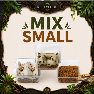 MIX DAY SMALL - DOSE GRILLI, TARME E LOCUSTE SMALL