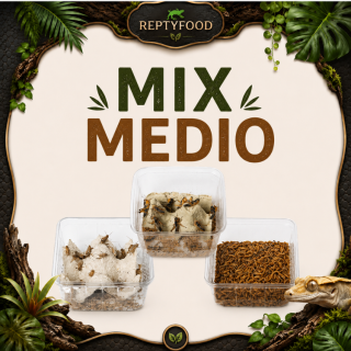 MIX DAY MEDIUM - DOSE GRILLI, TARME E LOCUSTE MEDIE