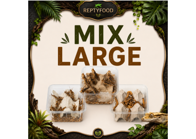 MIX DAY LARGE- DOSE GRILLI, CAIMANI E LOCUSTE GRANDI