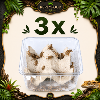 3 x DOSI ACHETA MEDI - INSETTI DA PASTO