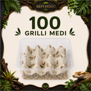 ACHETA MEDI 100 PEZZI - INSETTI DA PASTO