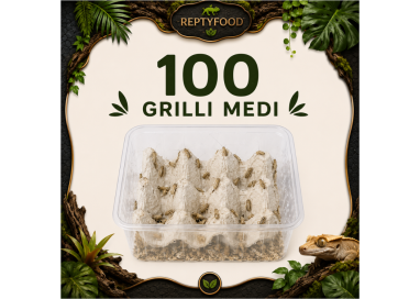 ACHETA MEDI 100 PEZZI - INSETTI DA PASTO