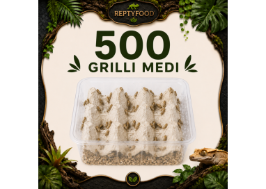 ACHETA MEDI 500 PEZZI - INSETTI DA PASTO