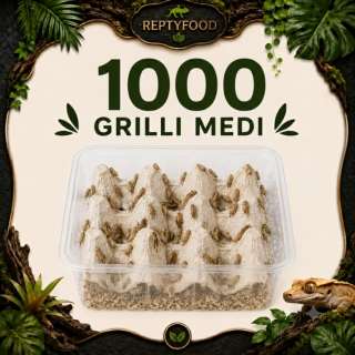 ACHETA MEDI 1000 PEZZI - INSETTI DA PASTO
