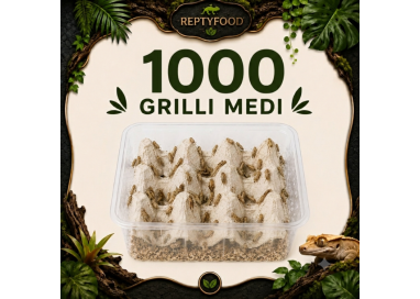 ACHETA MEDI 1000 PEZZI - INSETTI DA PASTO