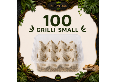 ACHETA SMALL 100 PEZZI - INSETTI DA PASTO