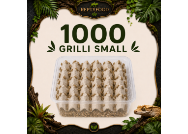 ACHETA SMALL 1000 PEZZI - INSETTI DA PASTO