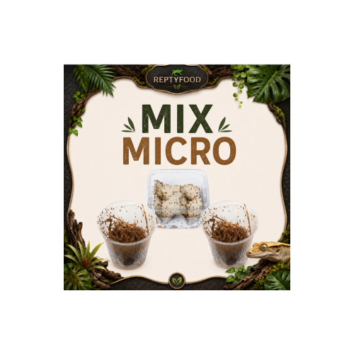 MIX DAY MICRO - DOSE GRILLI, 2 DROSOPHILE