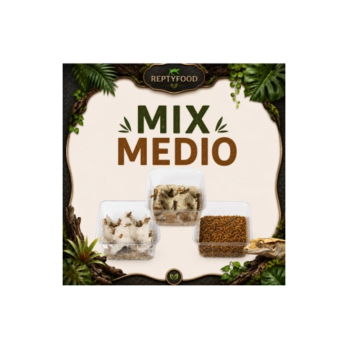 MIX DAY MEDIUM - DOSE GRILLI, TARME E LOCUSTE MEDIE