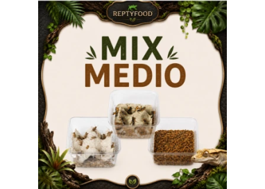 MIX DAY MEDIUM - DOSE GRILLI, TARME E LOCUSTE MEDIE