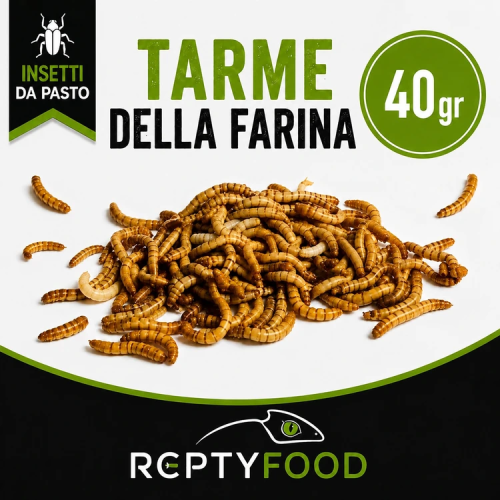 TARME DELLA FARINA - INSETTI DA PASTO
