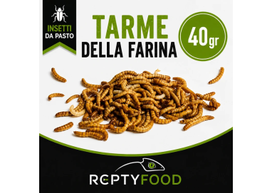 TARME DELLA FARINA - INSETTI DA PASTO