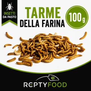 TARME DELLA FARINA 100 GR - INSETTI DA PASTO