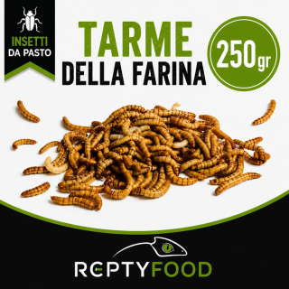 TARME DELLA FARINA 250 GR - INSETTI DA PASTO
