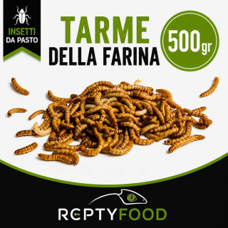 TARME DELLA FARINA 500 GR - INSETTI DA PASTO