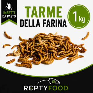 TARME DELLA FARINA 1 KG - INSETTI DA PASTO TARME DELLA FARINA 1 KG - INSETTI DA PASTO