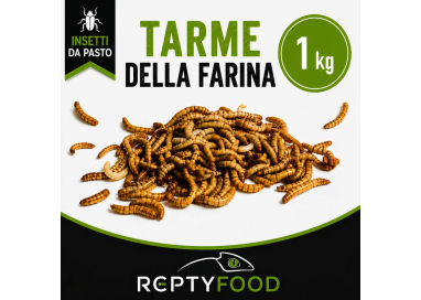 TARME DELLA FARINA 1 KG - INSETTI DA PASTO